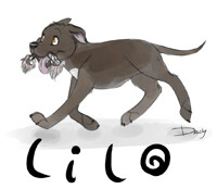 Chewytoys are the best!