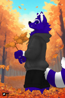 autumn chill