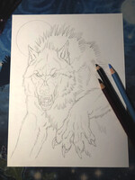 YCH Auction ends tonight!