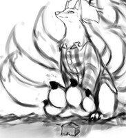 More typhtales