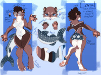 update coral’s ref sheet