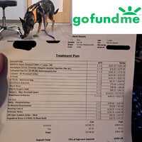 $1K REMAINING PLEASE HELP!