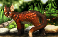 Cat Fish