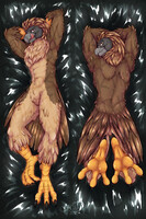 [C] PirateEagle's Dakimakura (SFW)