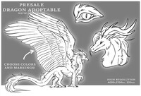 Dragon adoptable presale [Closed]