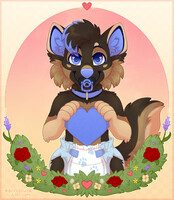Valentines pup