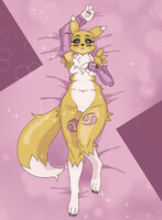 Renamon revisit