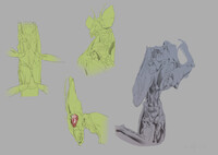 mantis anatomy studies