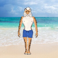 Tiger on a beach