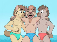 hyena trio