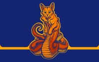 Snat