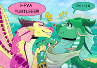 Kinkajou & Turtle!!! <3