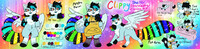 Clippy Reference Sheet