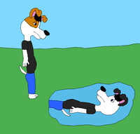 I Miss Be a Dalmatian