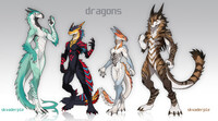 Dragons - auction adopt - closed
