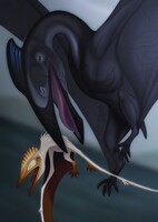 Hatzegopteryx and Bakonydraco