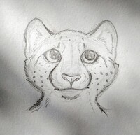 Thoughtful cheetah
