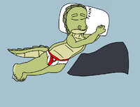 Floating, sleeping gator