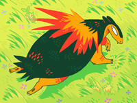 Typhlosion