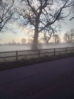 Misty Paddock.