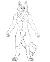 wolf sketch