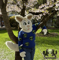 Chi Partial Suit