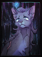 Oh Starclan...