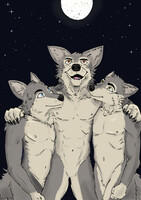 Three wolves