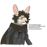 Paul Atreides / Muad'Dib