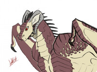 Line Weight Exercise