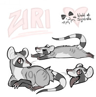 ZIRI