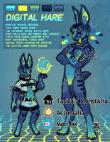 ToyHouse 🌐 F2E Digital Hare Raffle