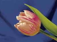 Art Academy - Tulip
