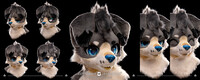 Vivid style fursuit showcase of Venolao