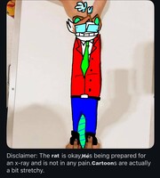 X-Ray Preparation