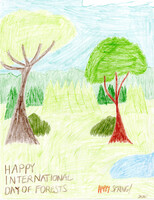 Happy International Day of Forests 2026