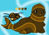 Chocolate seal - Adopt