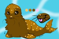 Caramel salé  seal - Adoption-