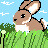 Bunny Breaktfast (Gif)