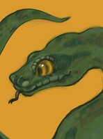 Snake sketch