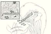 Monstro whale vore comic p3 final