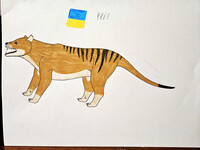 Thylacine