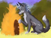 Feral Lightning Knocking on the Door of the Straw House