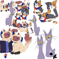 The Amazing Digital Cat Shelter AU part 1