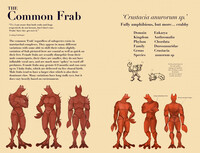 The Common Frab