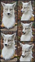 White Wolf Head and Tail Set!- SALE LIVE
