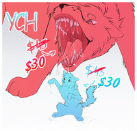 Ych open!!