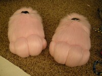 Furred Footpaws - Still WIP