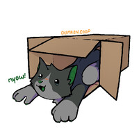 Box Cat