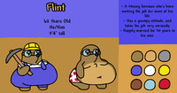 Flint Ref